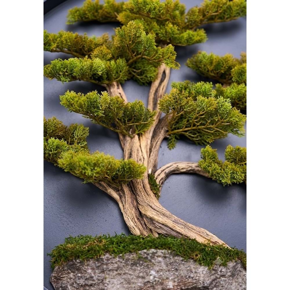 90 CM BONSAI TABLO
