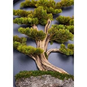 90 CM BONSAI TABLO