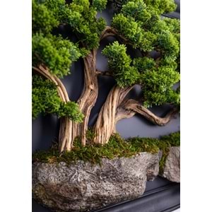 60*130 CM BONSAI TABLO