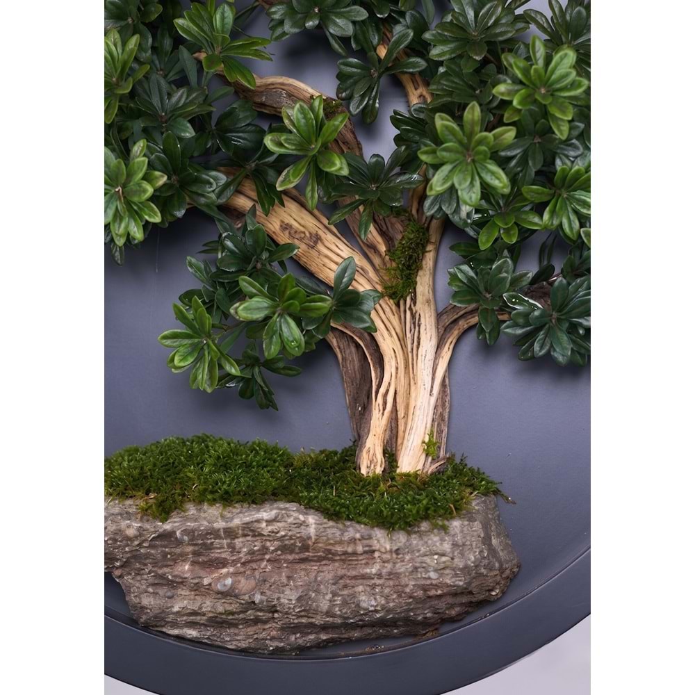 110 CM BONSAI PANO