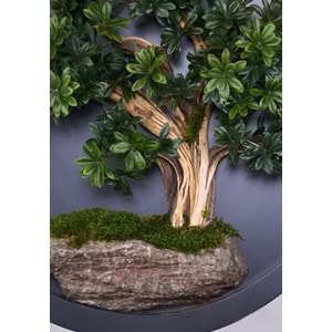 110 CM BONSAI PANO