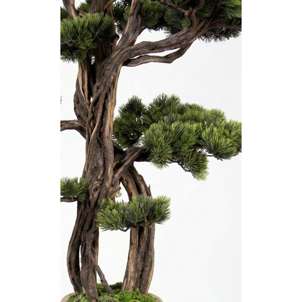 150 CM SAKSILI BONSAI