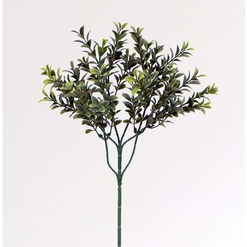 UV 47 CM BUXUS SPRAY