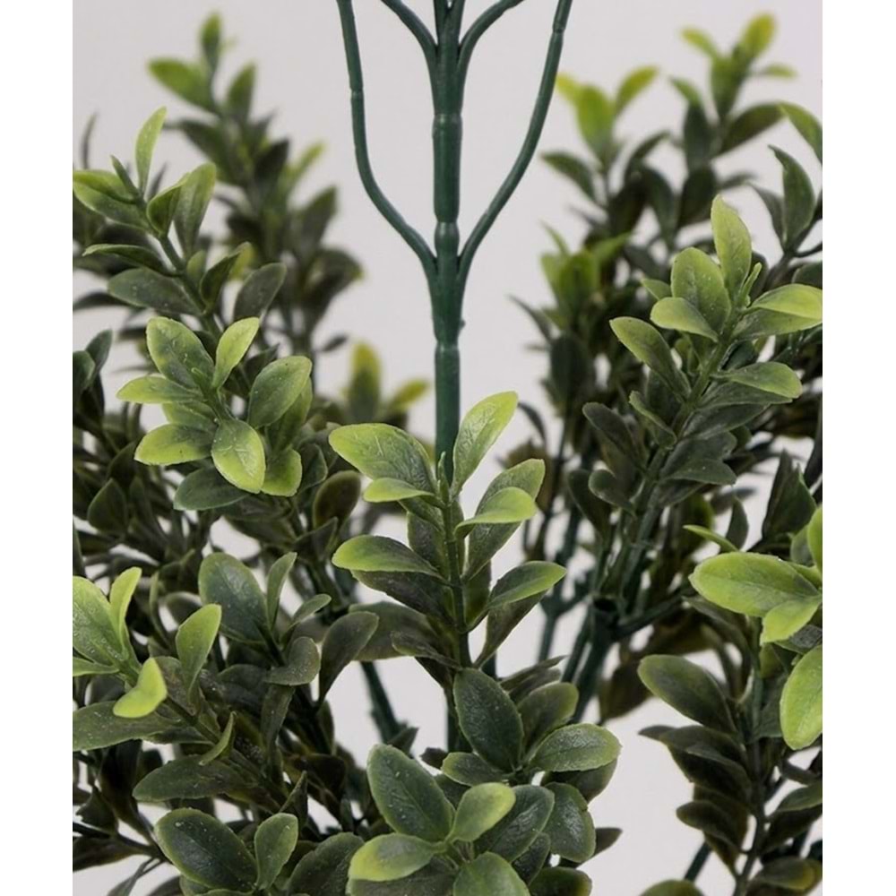 UV 47 CM BUXUS SPRAY