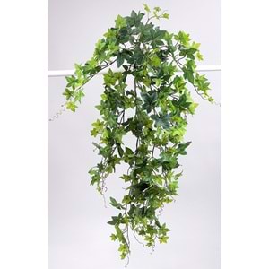 110 CM HEDERA