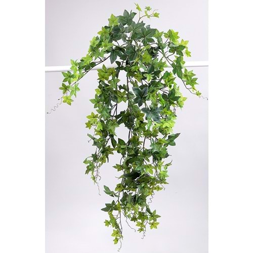 110 CM HEDERA