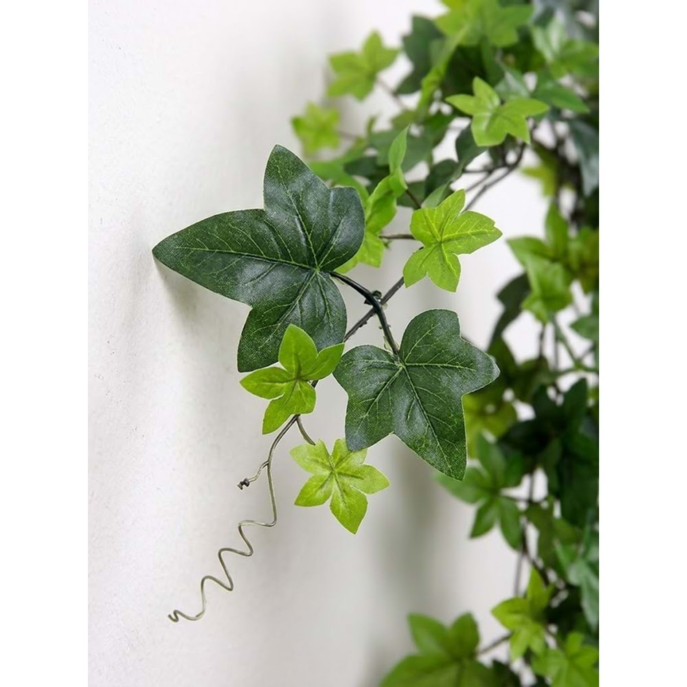 110 CM HEDERA