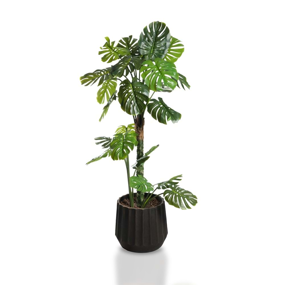 160 CM DEVE TABANI