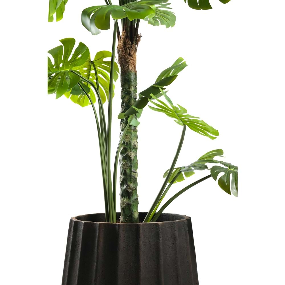 160 CM DEVE TABANI