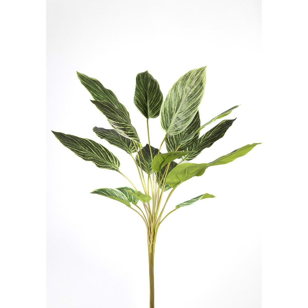60 CM DUA ÇİÇEĞİ