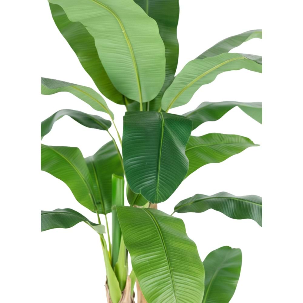 280 CM MUZ 3'LÜ