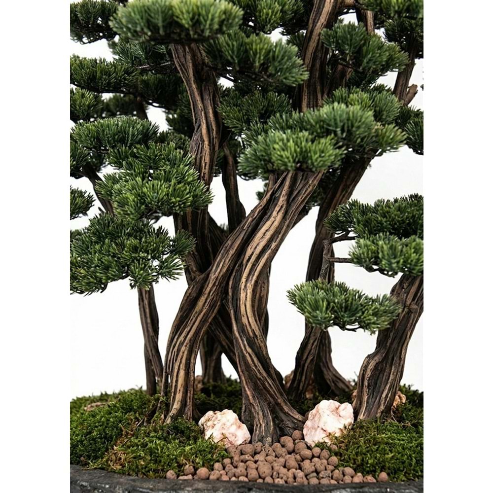 130 CM SAKSILI AĞAÇ BONSAI