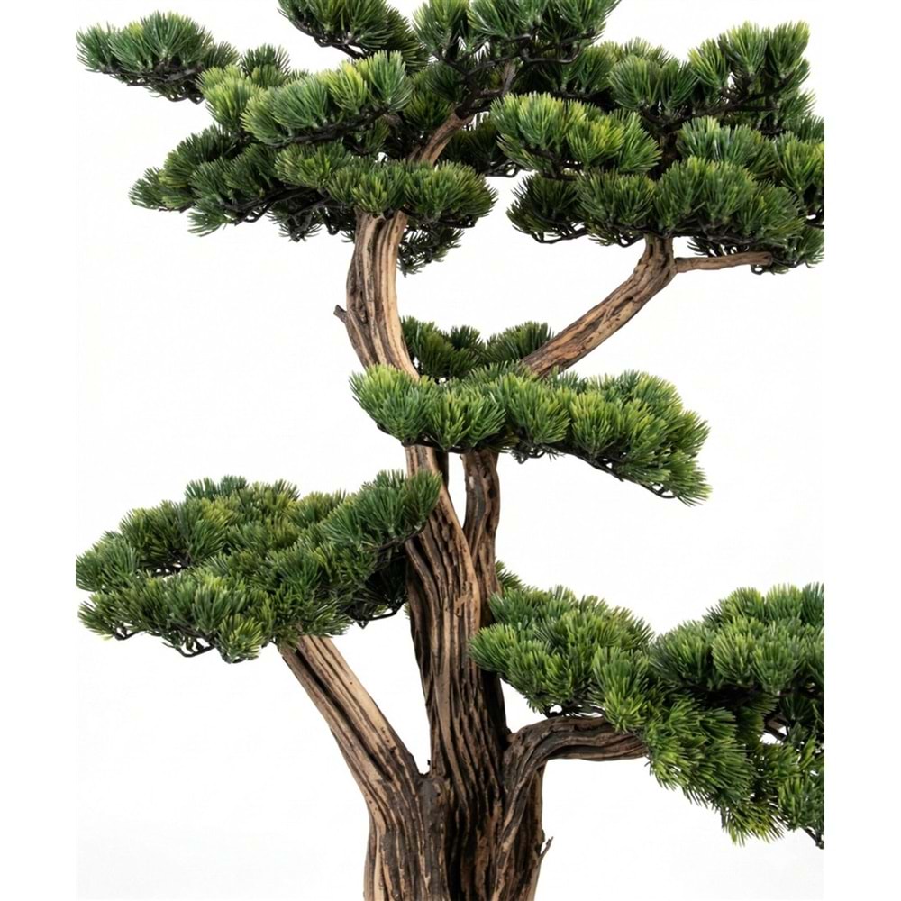 120 CM SAKSILI AĞAÇ BONSAI