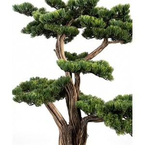 120 CM SAKSILI AĞAÇ BONSAI