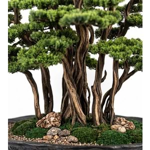 BONSAI AĞAÇ 120*125