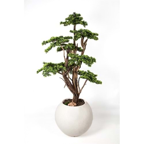 190 CM SAKSILI BONSAI AĞAÇ