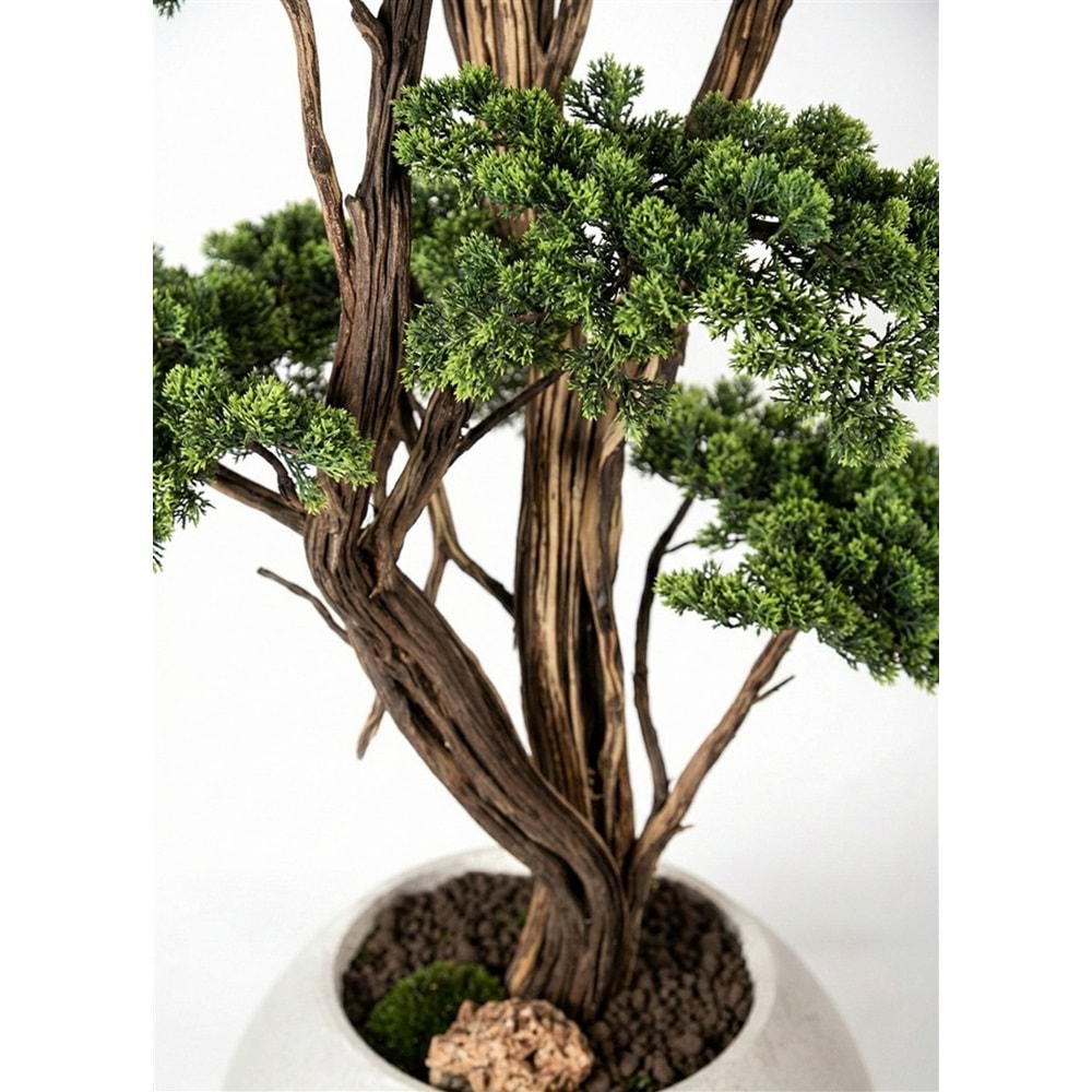 190 CM SAKSILI BONSAI AĞAÇ