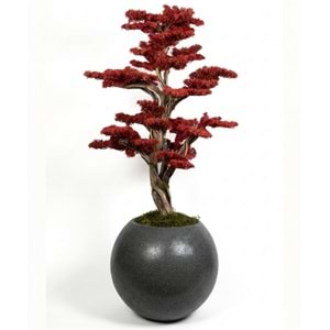 120 CM SAKSILI BONSAI AĞAÇ