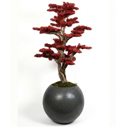 120 CM SAKSILI BONSAI AĞAÇ