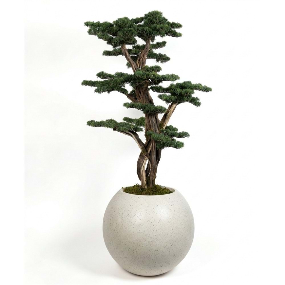 170 CM SAKSILI BONSAI AĞAÇ