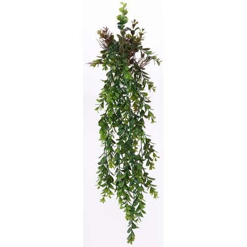 85 CM SARKAN BİTKİ