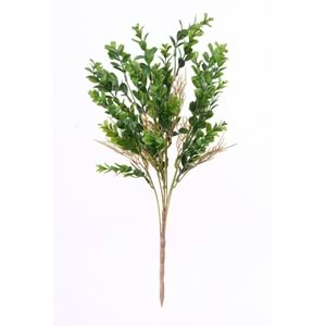 50 CM DEMET YEŞİLLİK