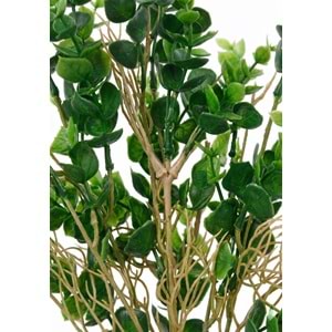 50 CM DEMET YEŞİLLİK