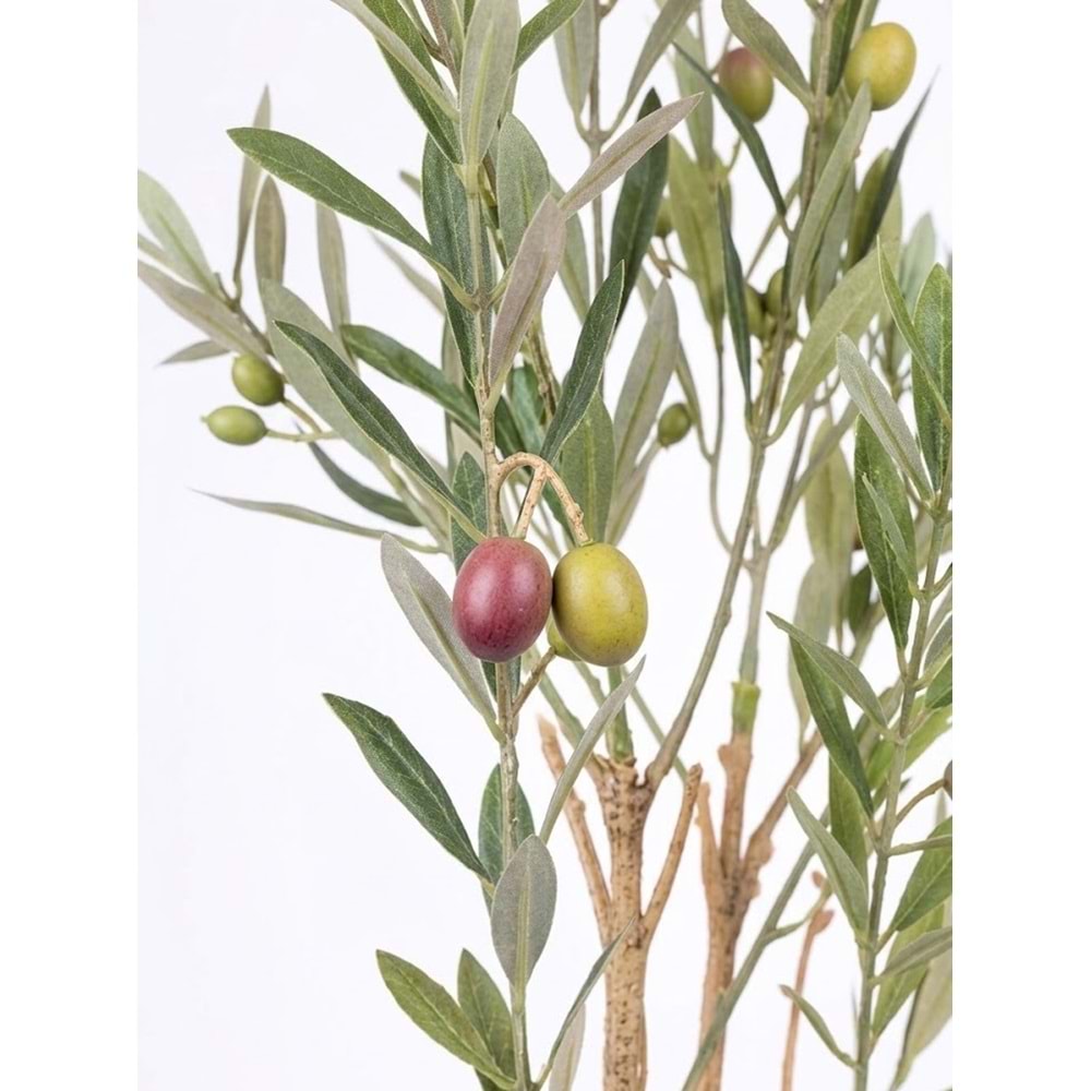 UV 102 CM ZEYTİN DALI