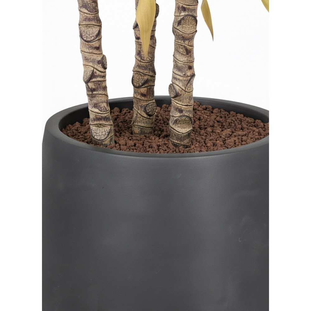 150 CM YUCCA