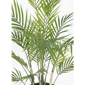 150 CM AREKA
