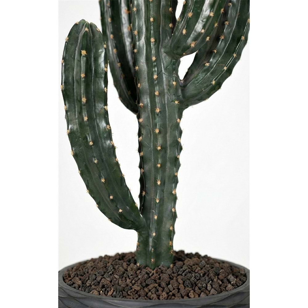 98 CM KAKTÜS