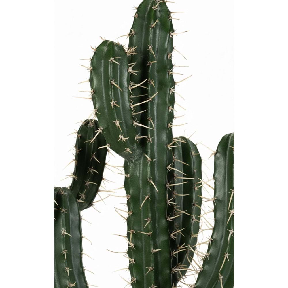 100 CM KAKTÜS