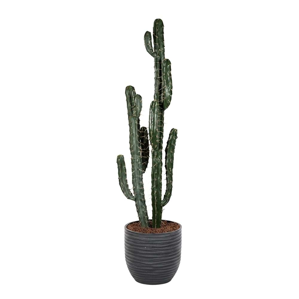 145 CM KAKTÜS