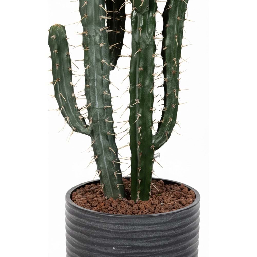 145 CM KAKTÜS