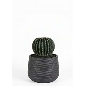 26 CM TOP KAKTUS