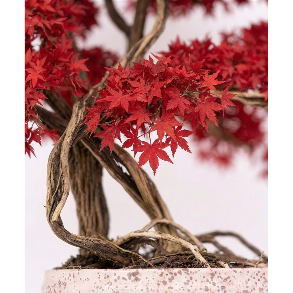 130 CM SAKSILI AĞAÇ BONSAI