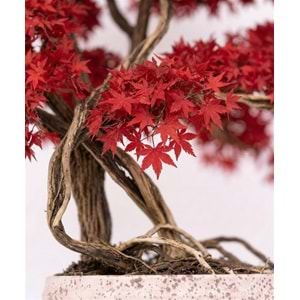 130 CM SAKSILI AĞAÇ BONSAI