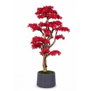 160 CM SAKSILI AĞAÇ BONSAI