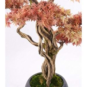160 CM SAKSILI AĞAÇ BONSAI