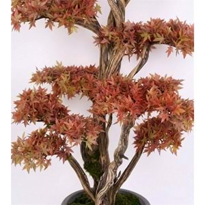 160 CM SAKSILI AĞAÇ BONSAI