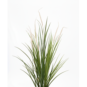 120 CM SAZLIK
