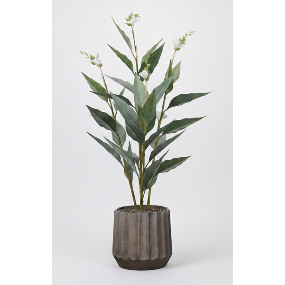 155 CM CANA BİTKİSİ BEYAZ