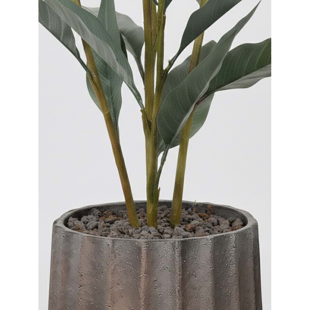 155 CM CANA BİTKİSİ BEYAZ