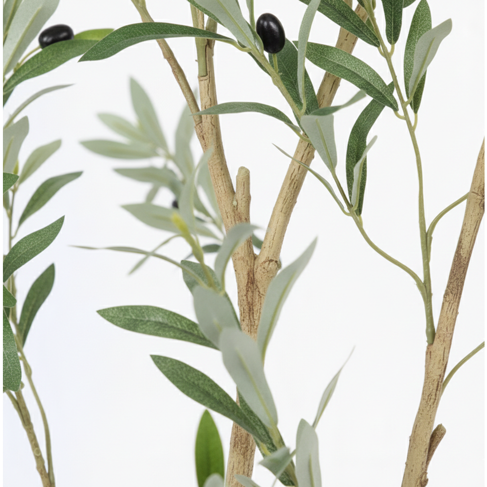 180 CM ZEYTİN AĞACI