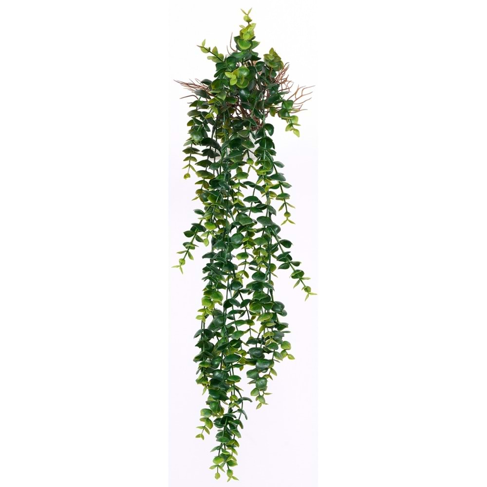 90 CM SARKAN OKALIPTUS