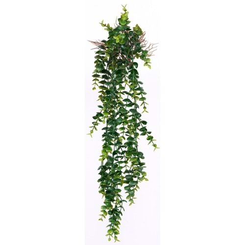 90 CM SARKAN OKALIPTUS