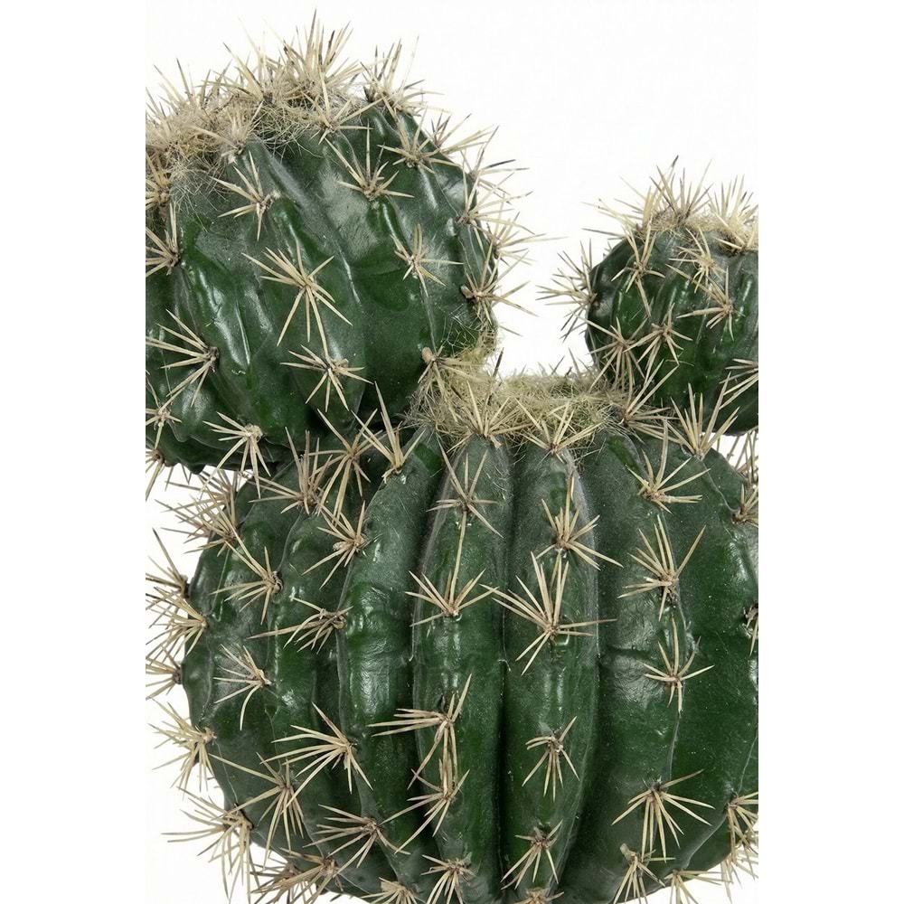 45 CM ÜÇ TOP KAKTÜS