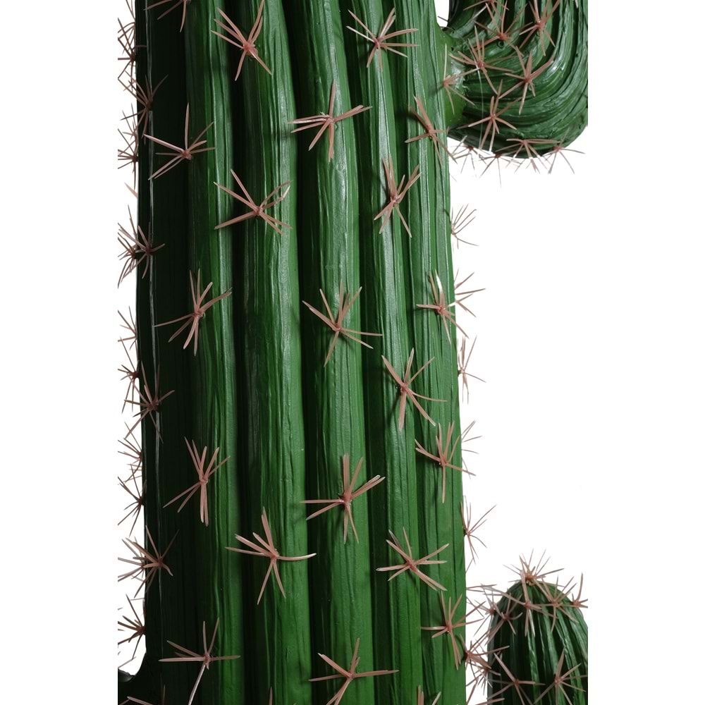 160 CM KAKTÜS