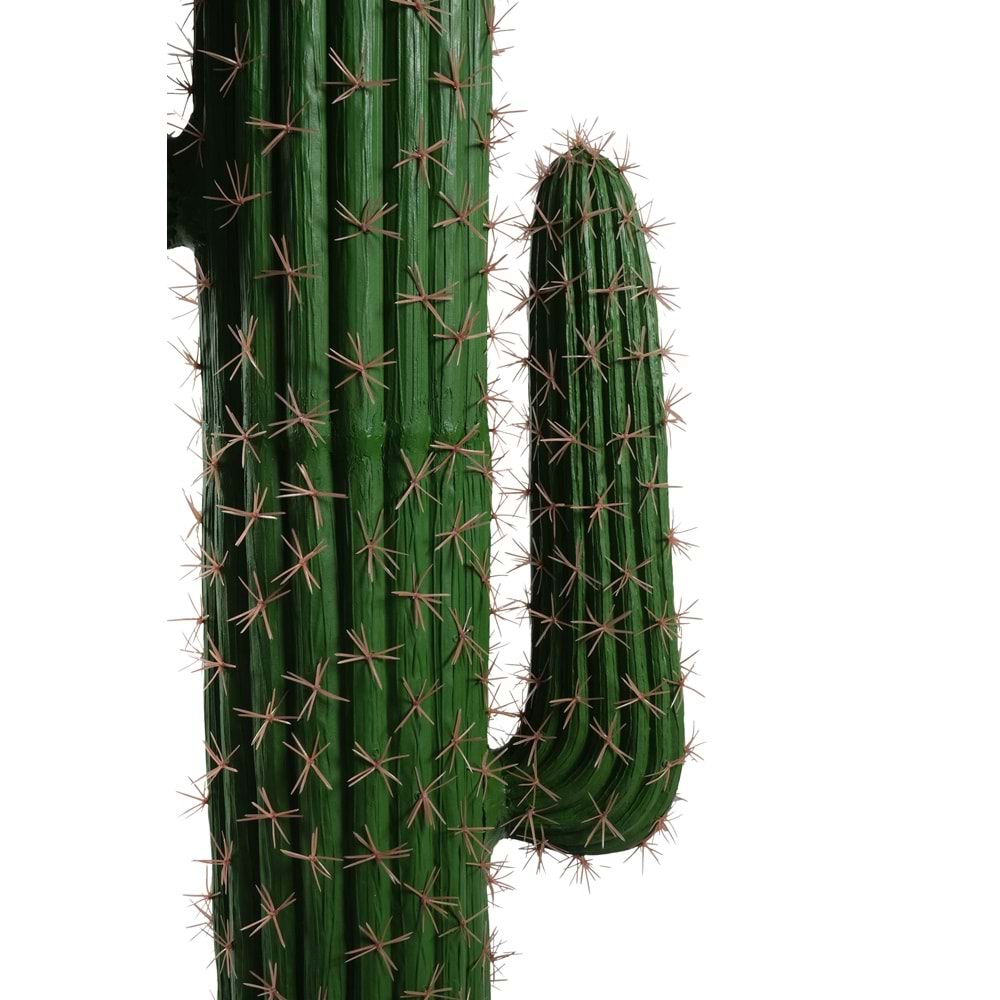 160 CM KAKTÜS