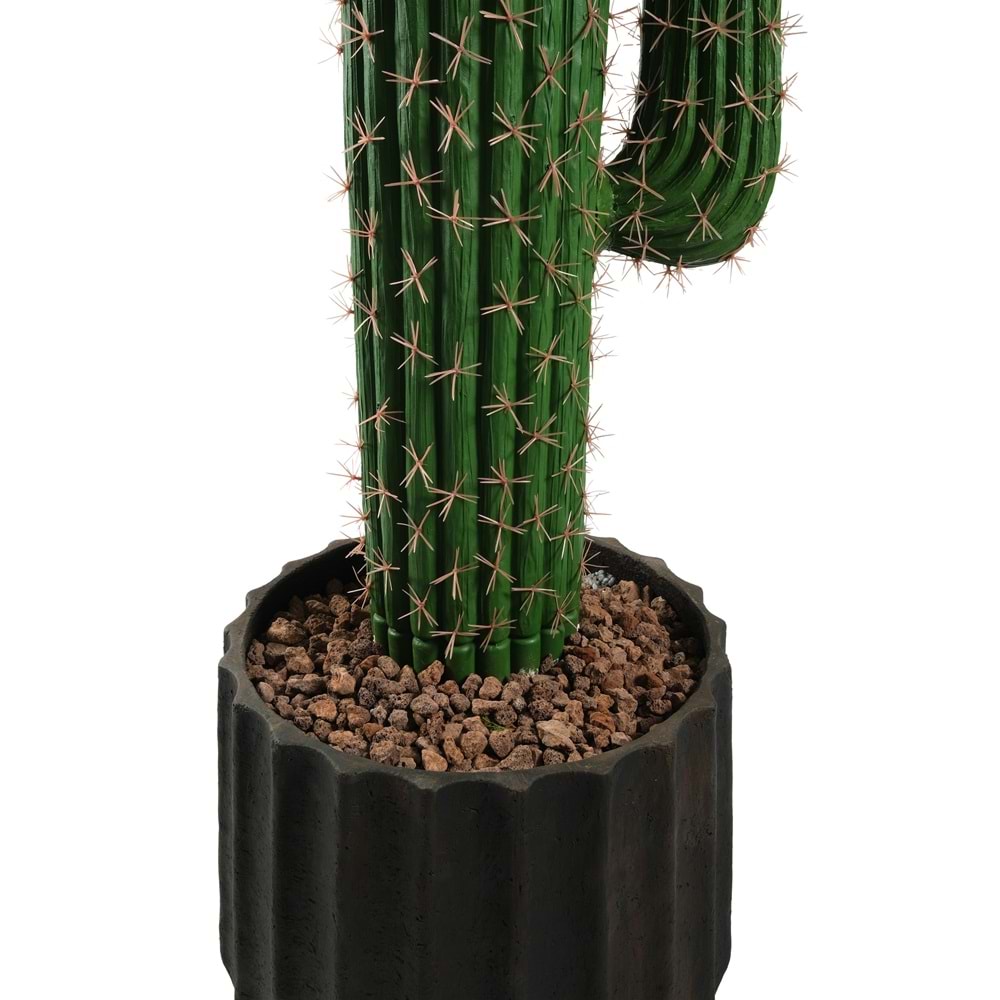 160 CM KAKTÜS